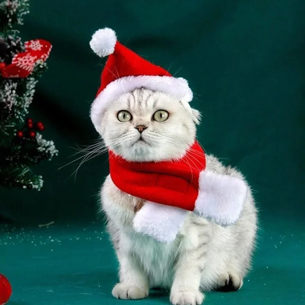 Pet Santa Hat with Scarf – Christmas Costume for Cats, Small Dogs, Rabbit, Red
